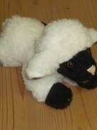 Schaf - liegend